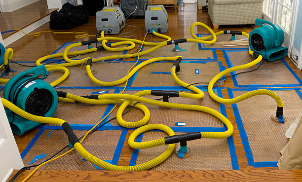 Professional Crawl Space Water Removal technician working in New Smyrna Beach, FL